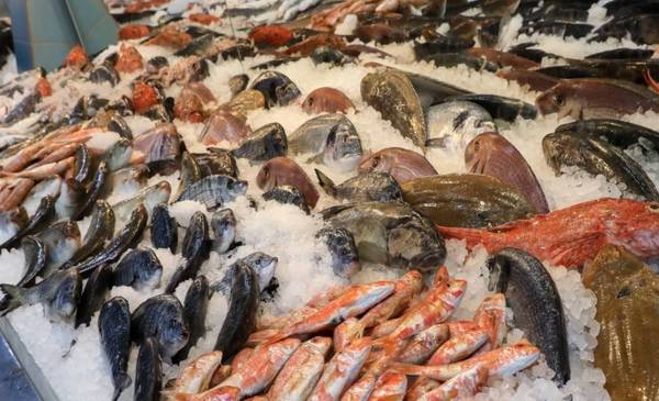 PureChile 𝕏 tweet media