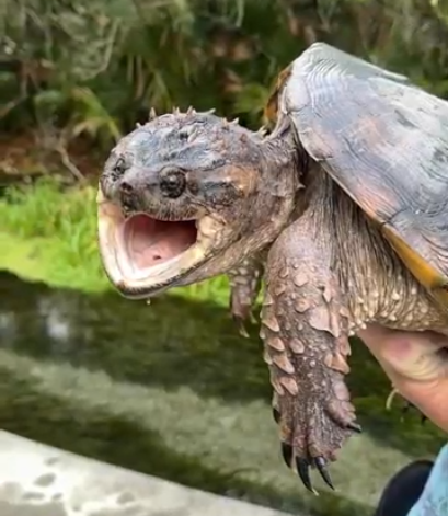 Orange County Parks and Recreation tweet media