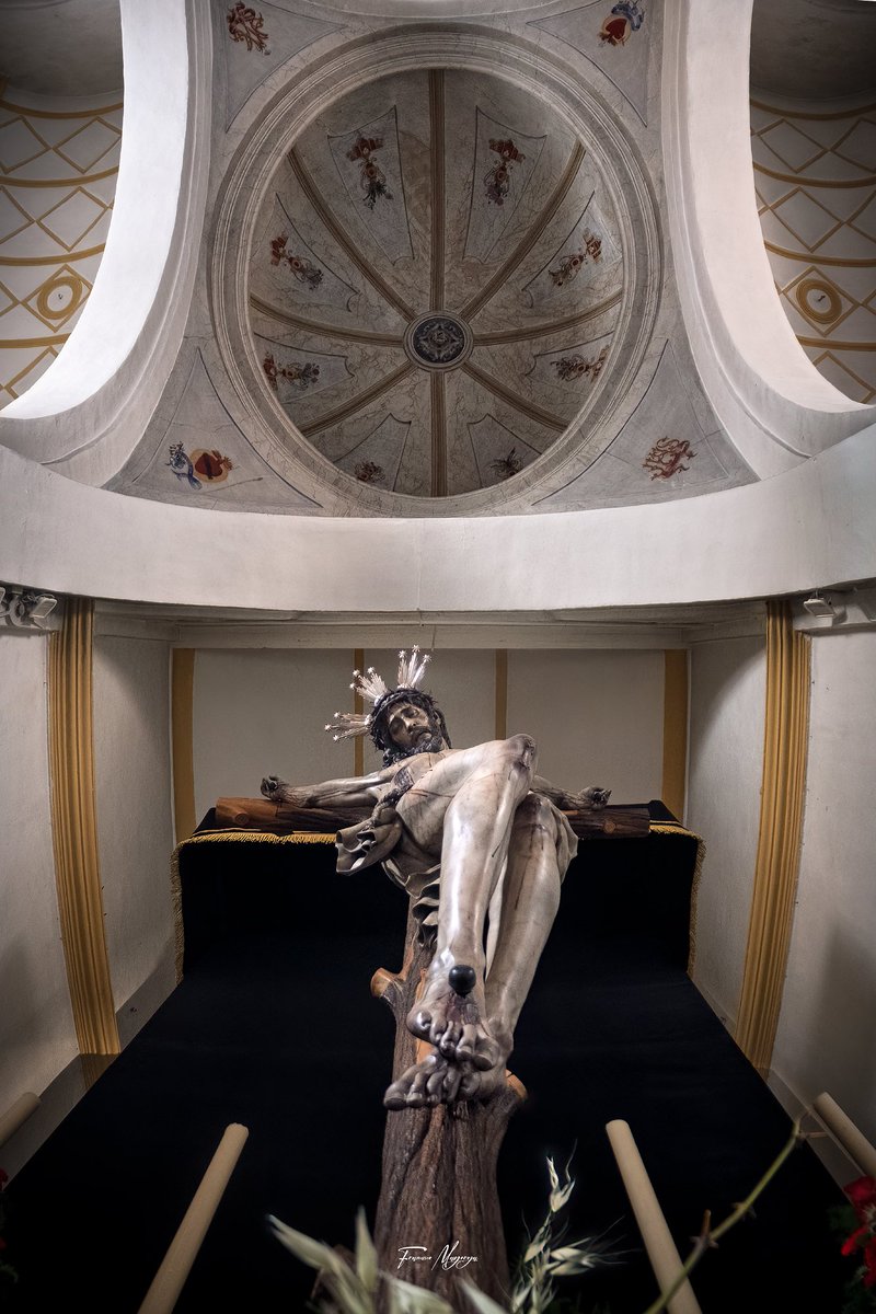 Francisco Mayorga 📷 tweet media