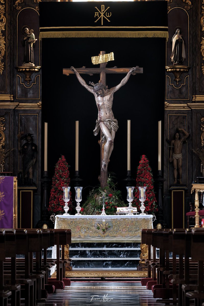 Francisco Mayorga 📷 tweet media