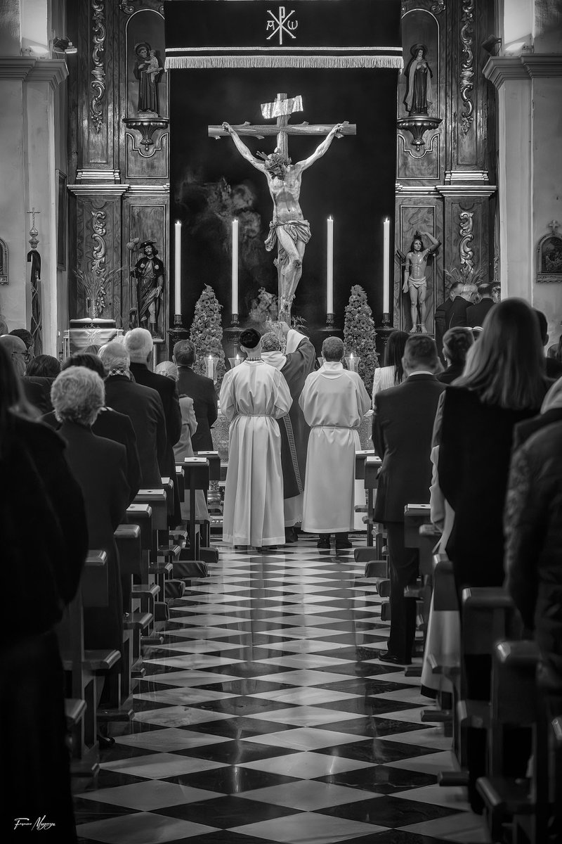 Francisco Mayorga 📷 tweet media