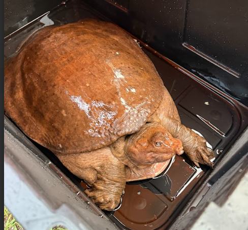 Orange County Parks and Recreation tweet media