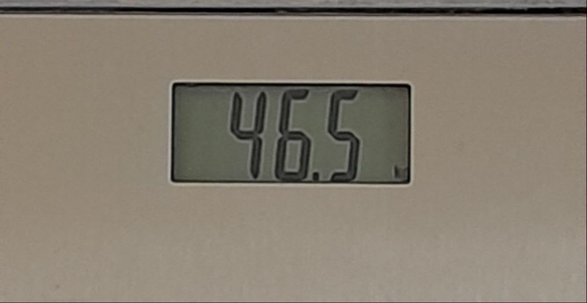 ︴bug 𖤐.ᐟ tweet media