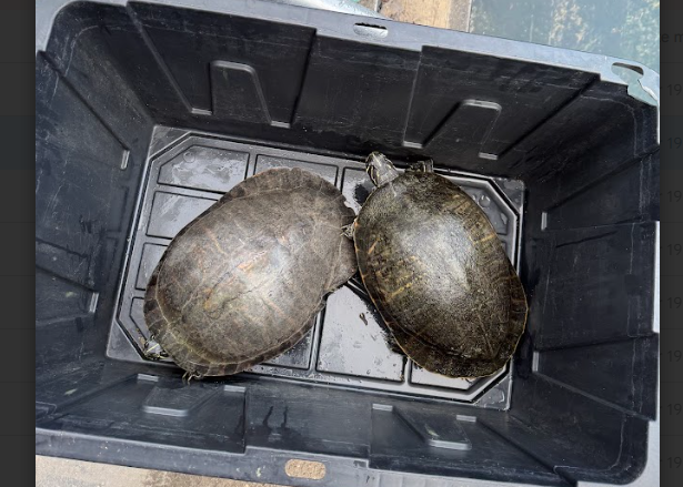 Orange County Parks and Recreation tweet media