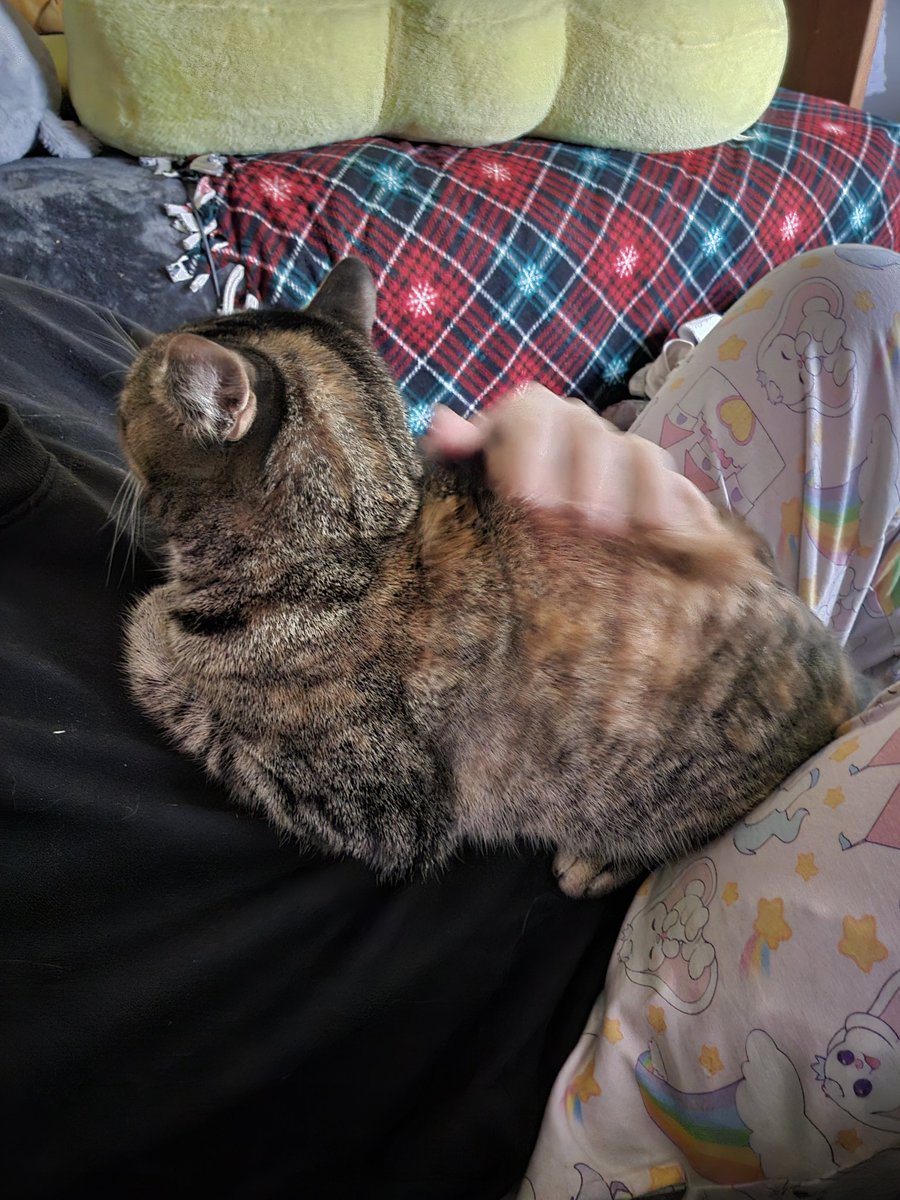 𐔌Willow 🏳️‍⚧️ tweet media