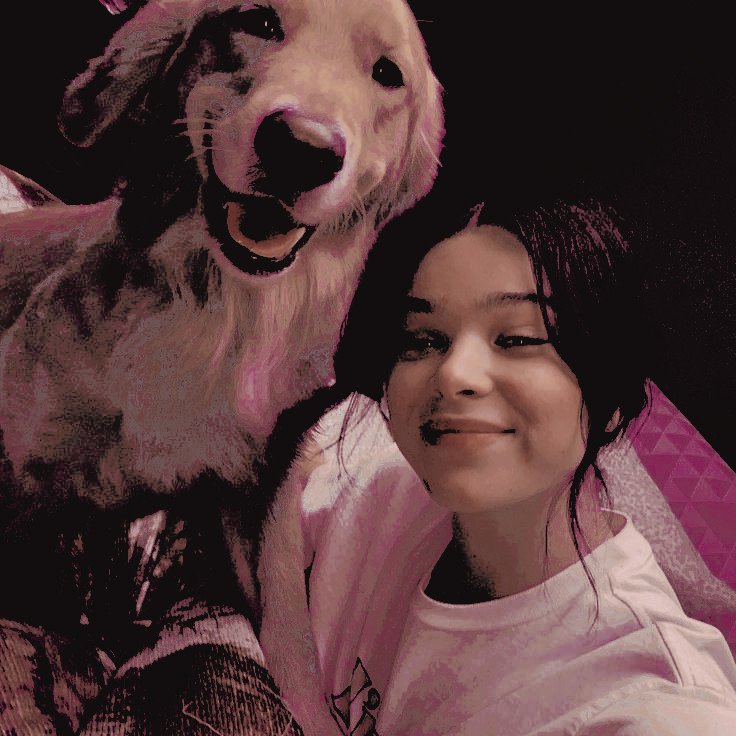 ‍ ‍‍ *ੈ 𝓚𝐴𝚃𝙴 ‍‍ 𝓑𝙸𝚂𝙷𝑂𝙿. tweet media