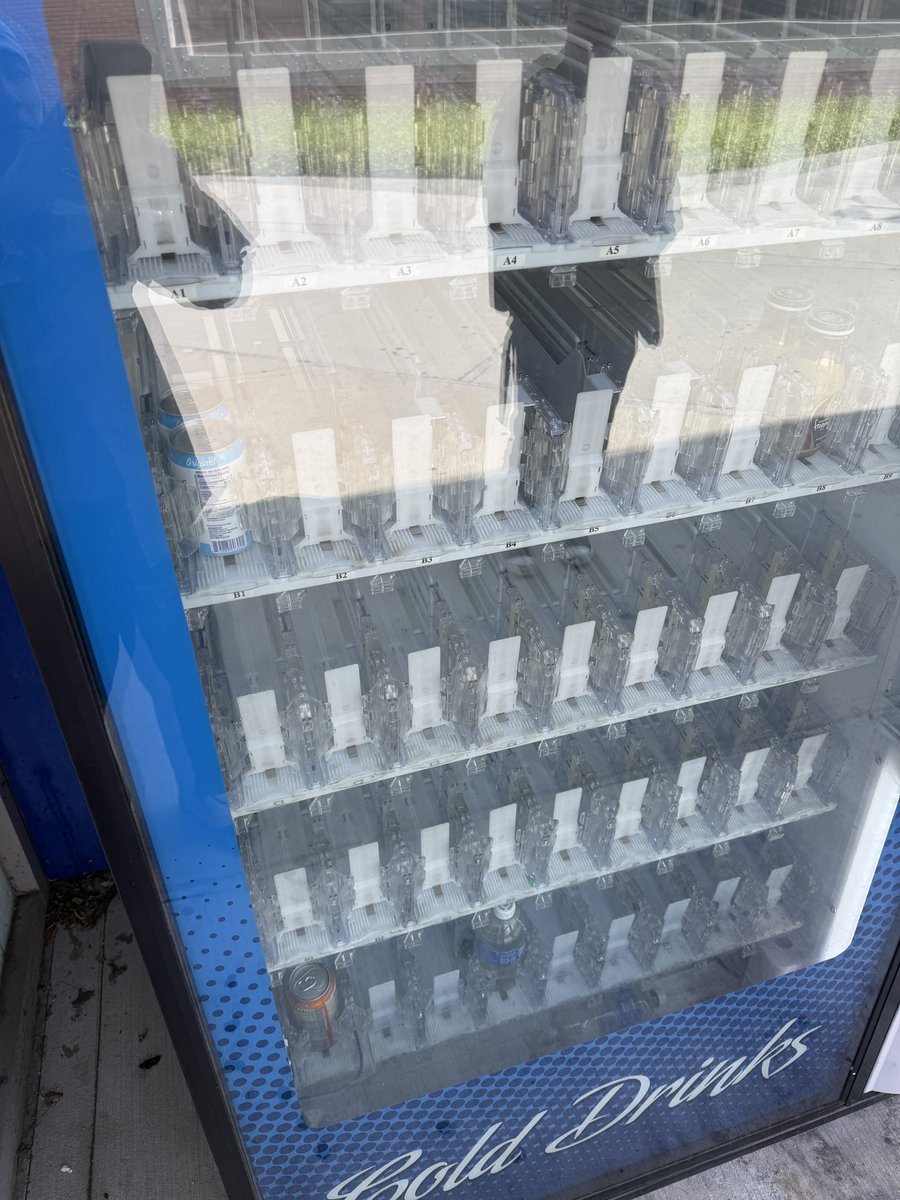 Oriana De Quay tweet media