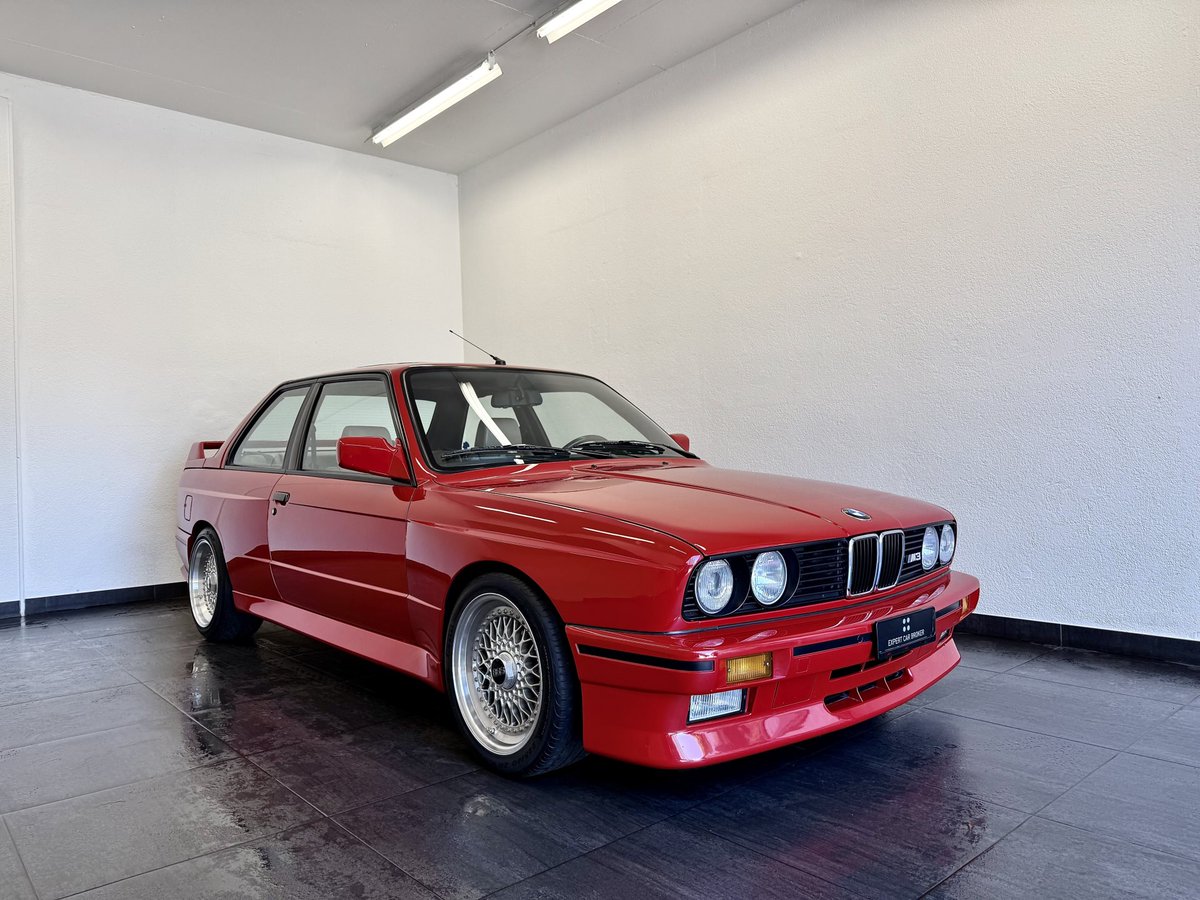 BIG Zizzle♦️ tweet media