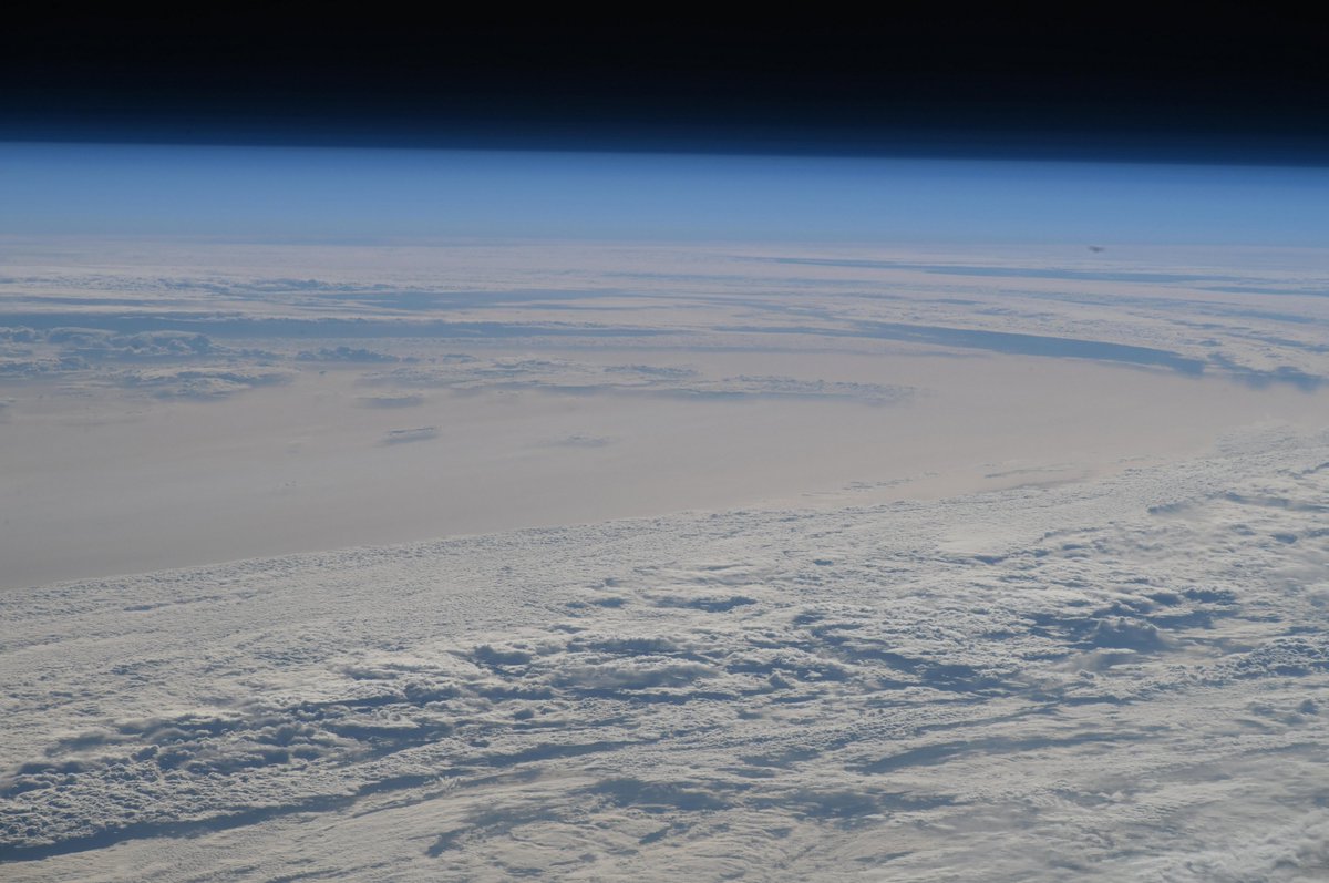 Adenot Sophie tweet media