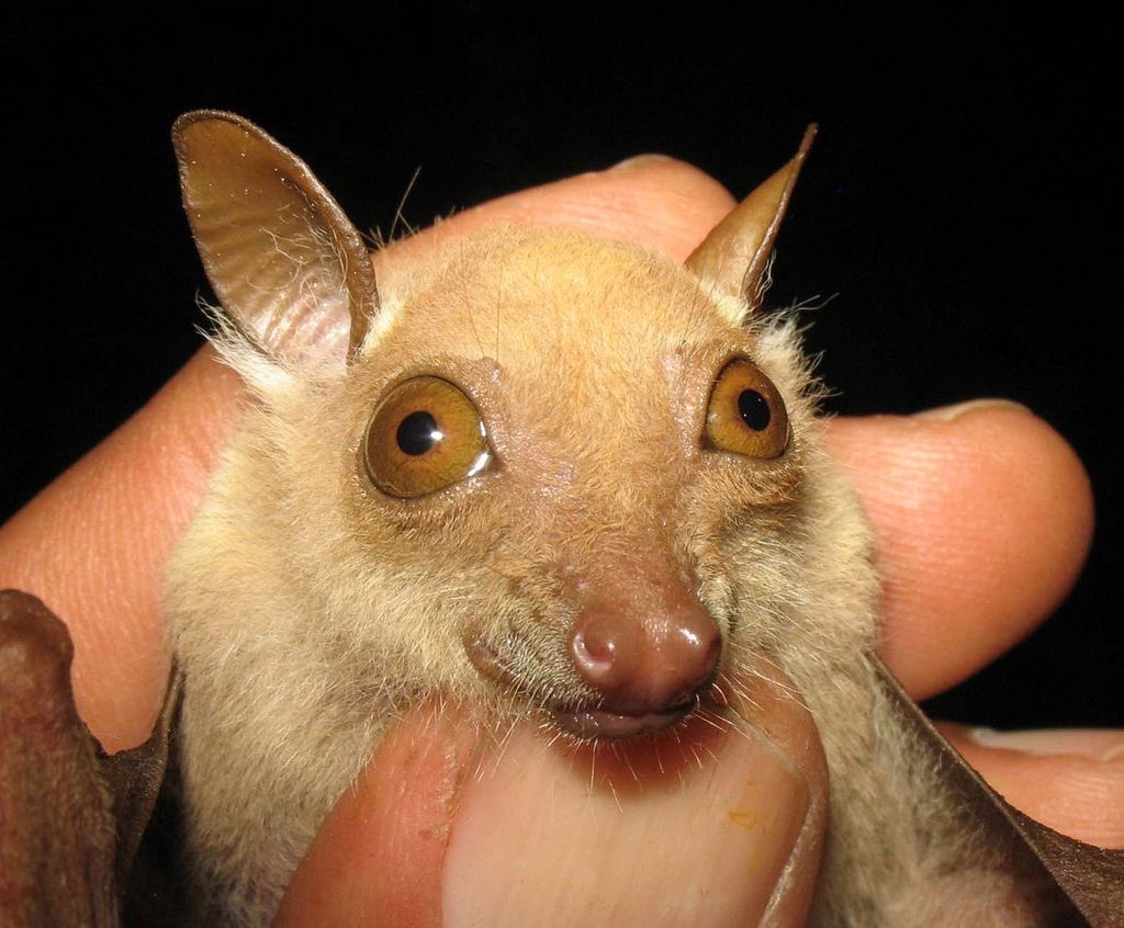 This Bro 𐂯 .ᐟ⸝⸝ tweet media