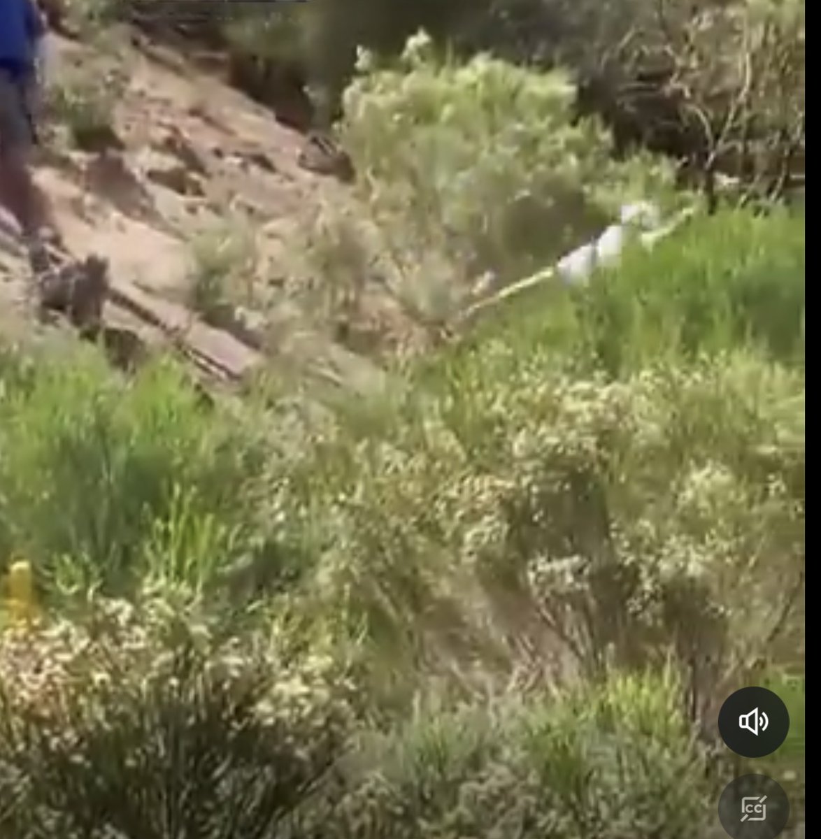 TheDipState tweet media