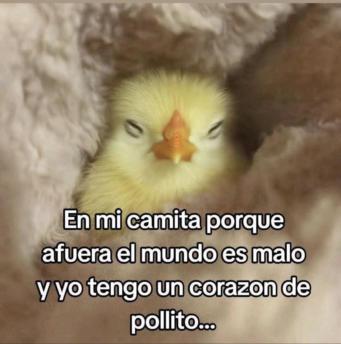 Mag Maby tweet media