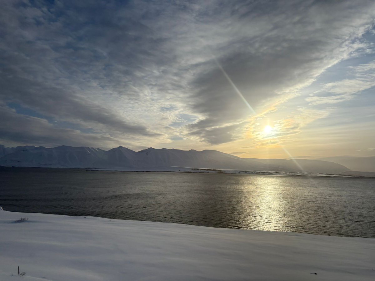 Parpiglia's tweet image. #island