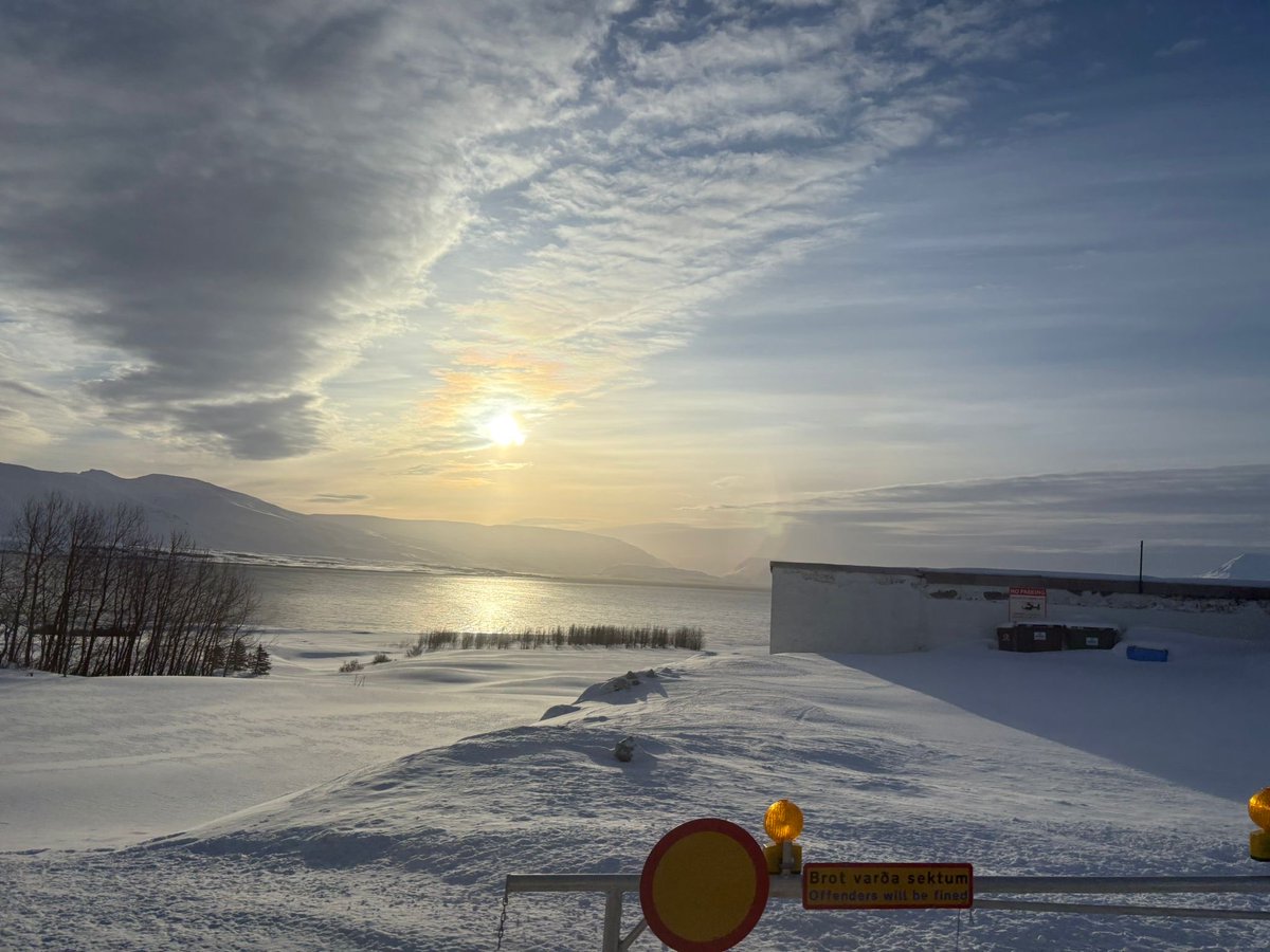 Parpiglia's tweet image. #island