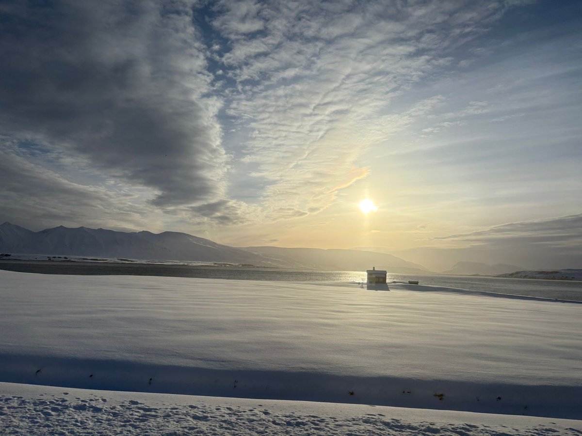 Parpiglia's tweet image. #island