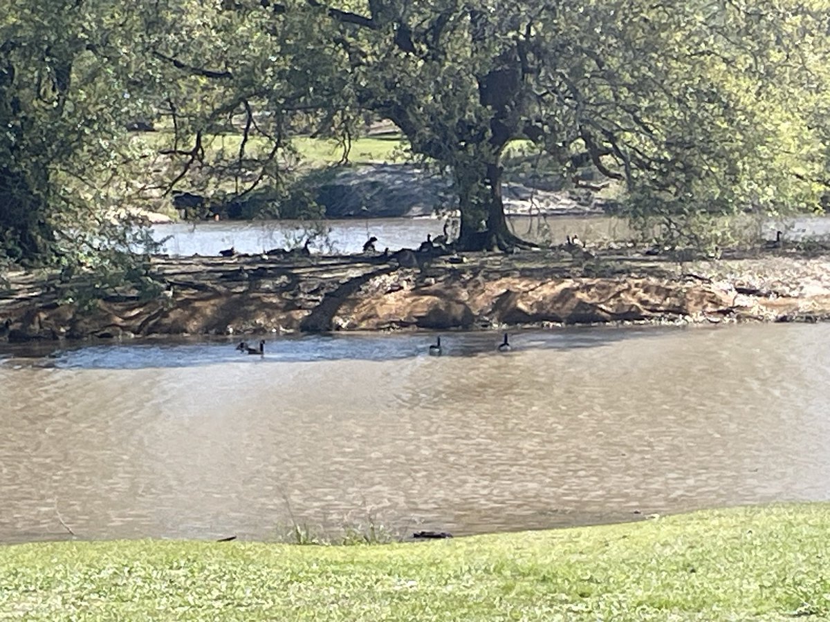 The Teller’s Library tweet media