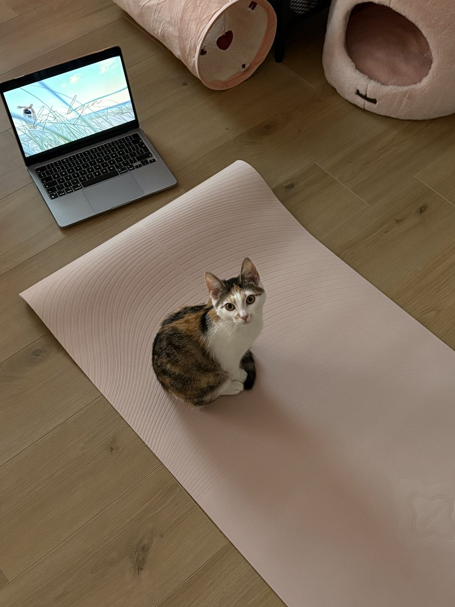 ryn (& apple) ‧₊ 🍒 ᵎᵎ tweet media