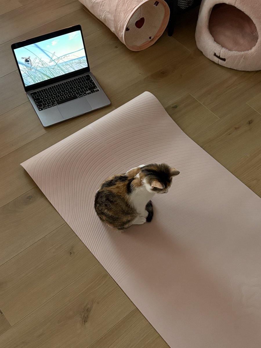 ryn (& apple) ‧₊ 🍒 ᵎᵎ tweet media