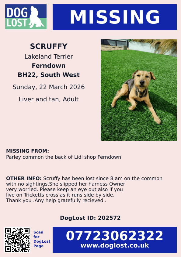 chris towers tweet media