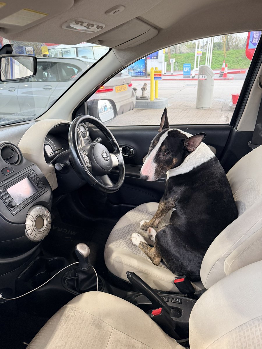 LUDEN Automotive tweet media