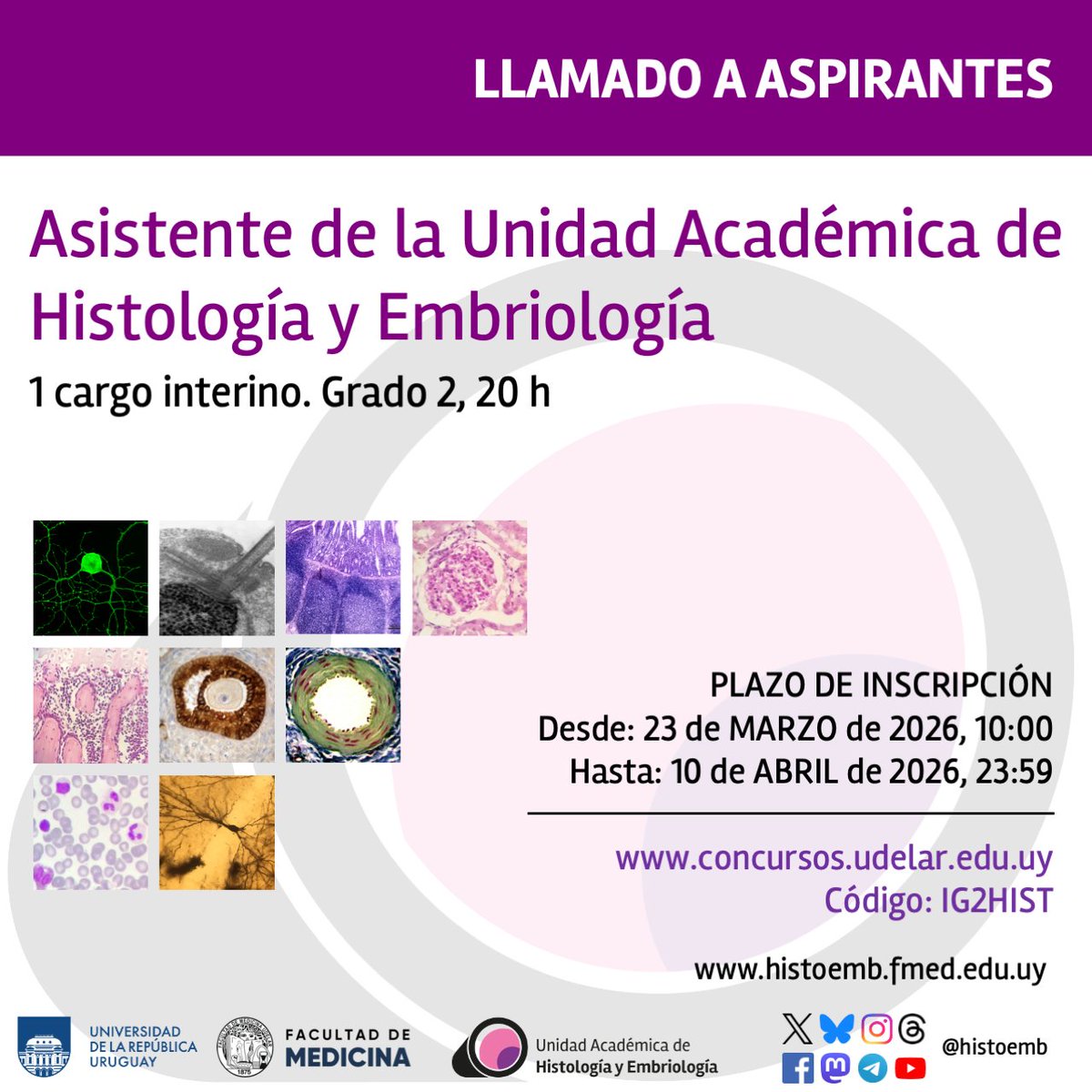 Histología y Embriología Fmed tweet media