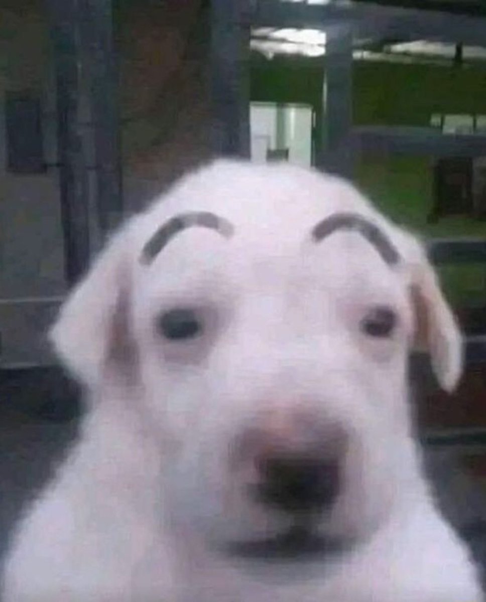 DoctorBell tweet media