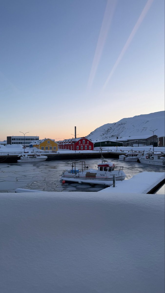 Parpiglia's tweet image. #island