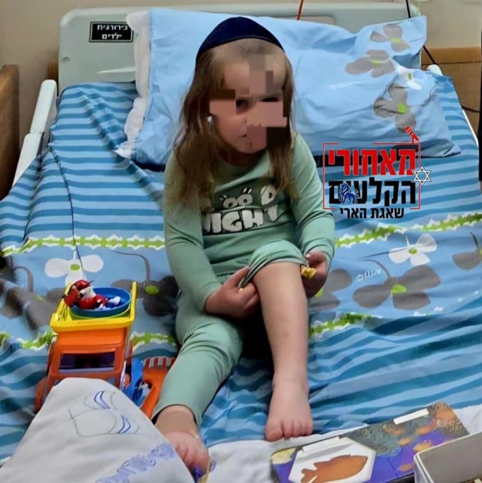 Vivid.🇮🇱 tweet media