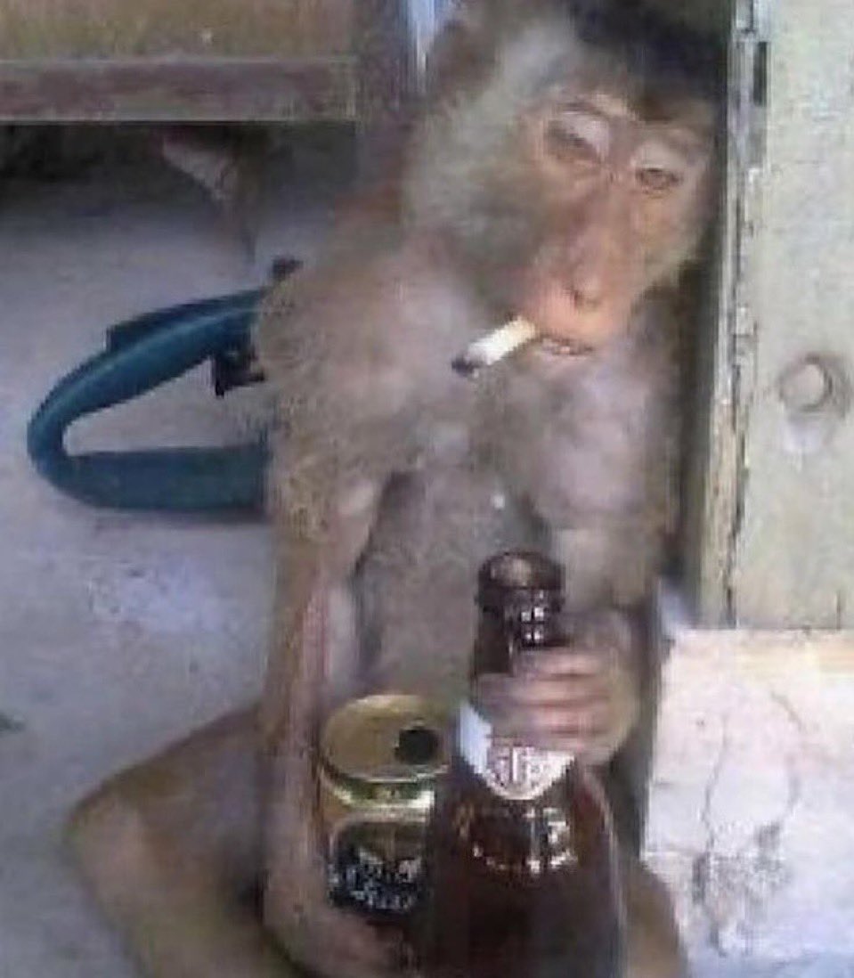 monchhichi tweet media