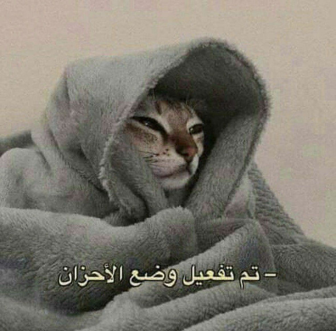 أم السعف و الليف ☠️ tweet media