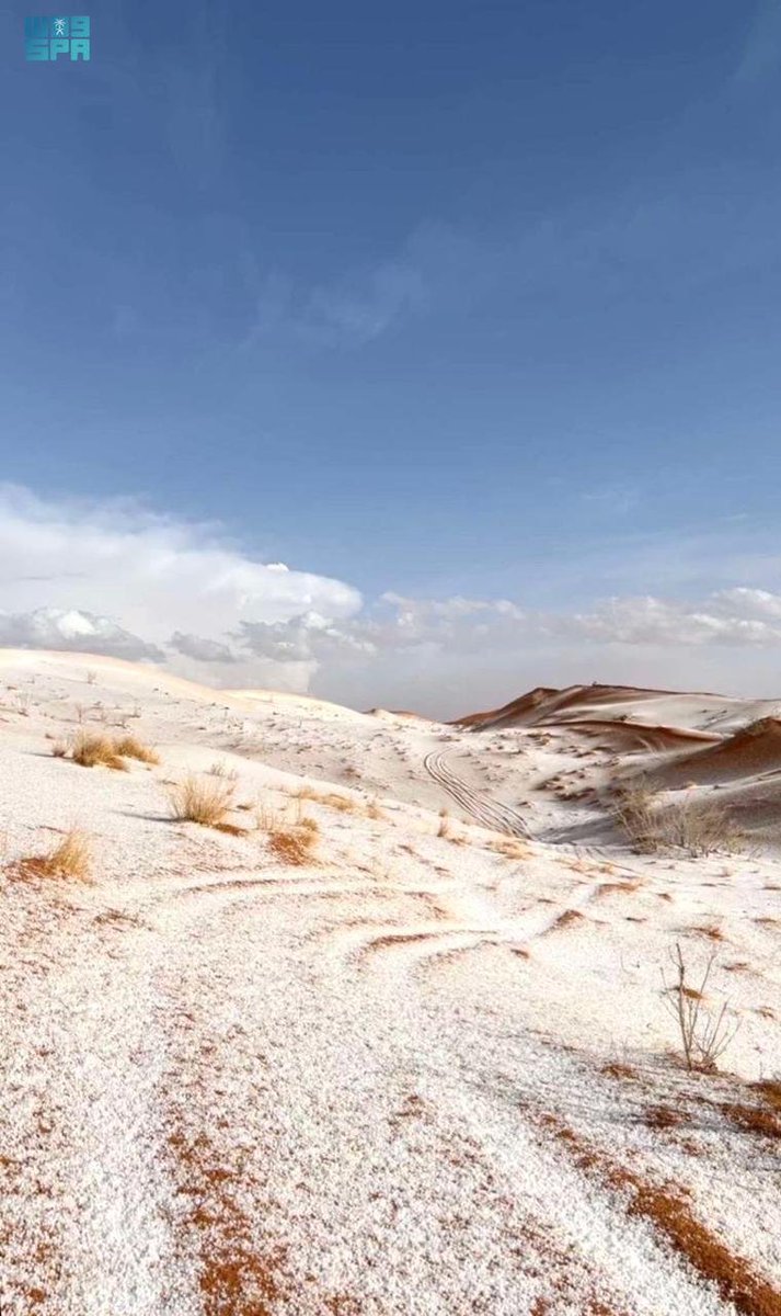 واس جودة الحياة tweet media