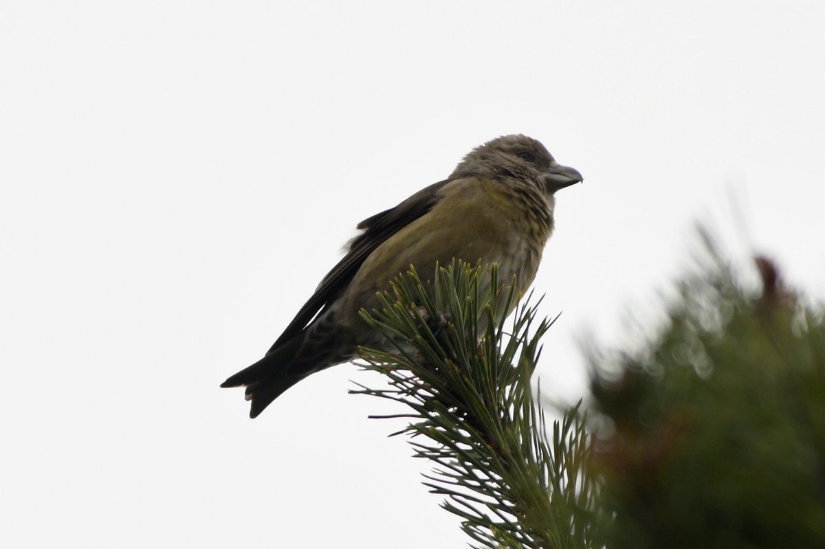 Phil Burnside tweet media