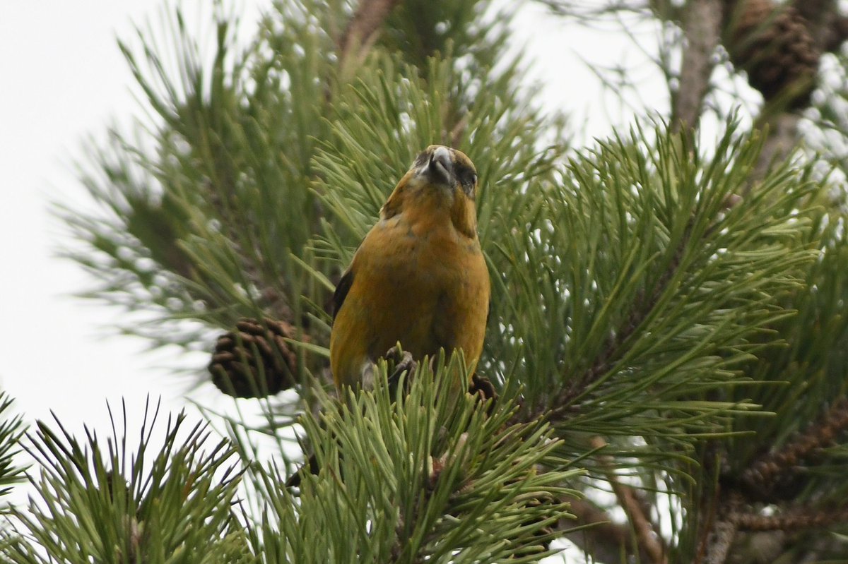 Phil Burnside tweet media