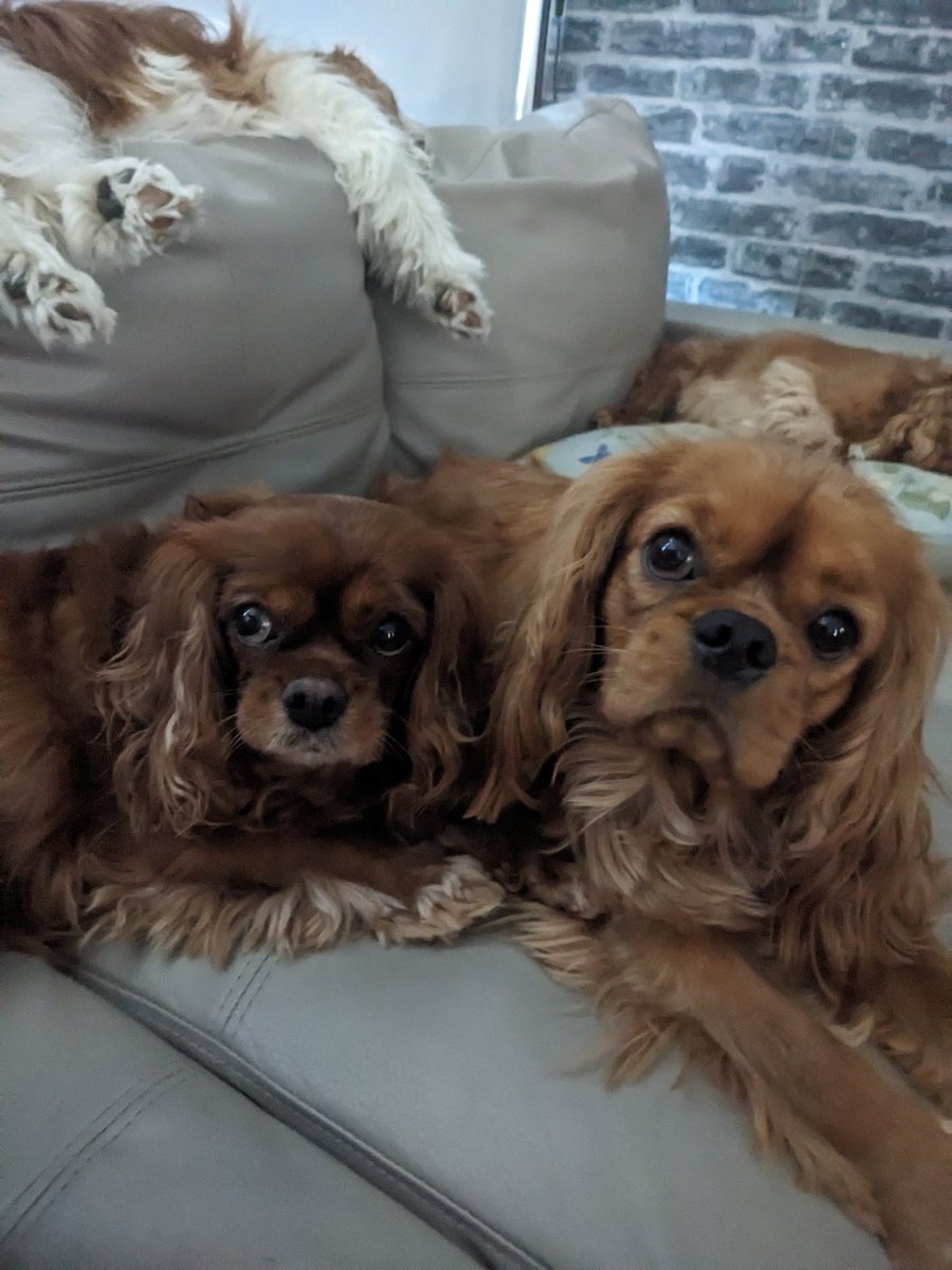 Emma Swan tweet media