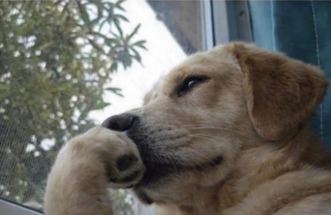 BOOMER🔥💐 tweet media