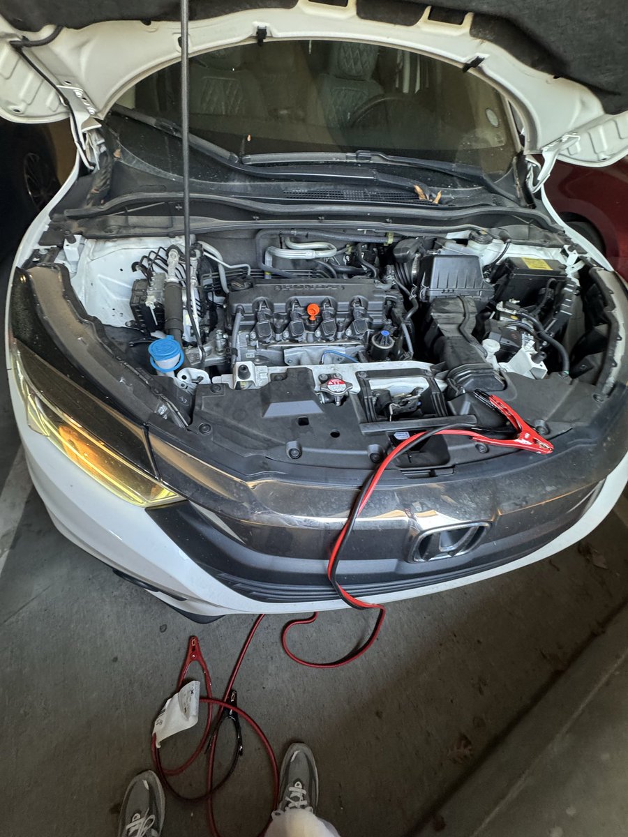 whodfislee's tweet image. not my first rodeo #smh