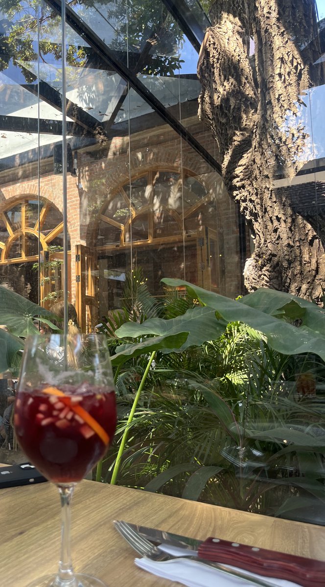 Margarita Martinez A tweet media