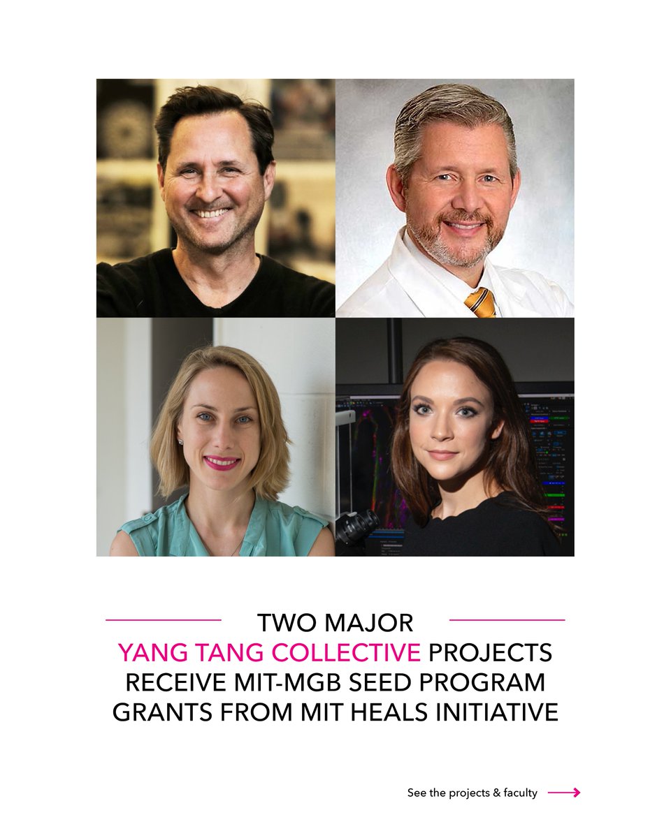 Yang Tan Collective tweet media