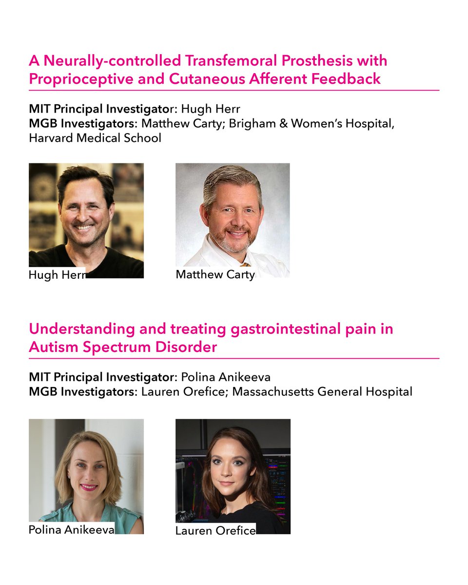 Yang Tan Collective tweet media