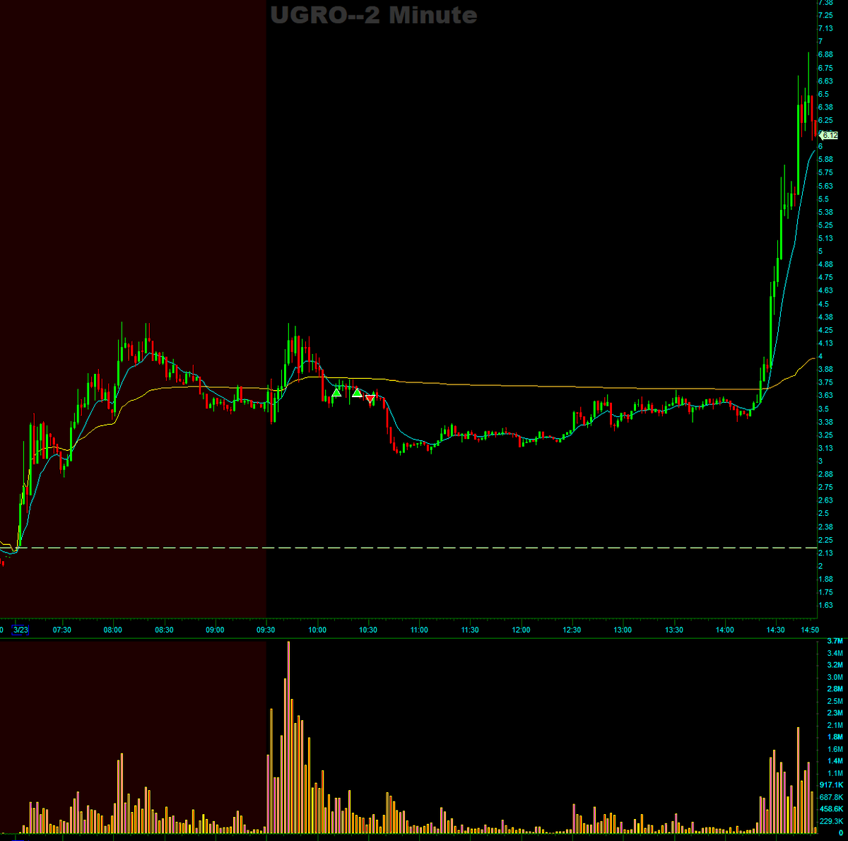 Foresight Trader tweet media