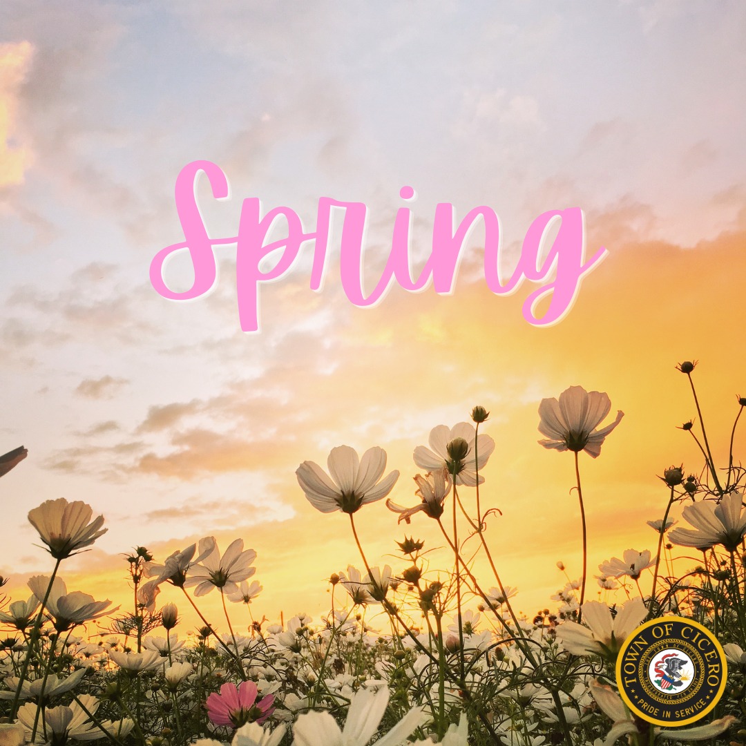 TownofCicero's tweet image. 🌸 Spring has arrived! 🌸

Longer days, warmer weather, and a fresh new season are here. It’s the perfect time to get outside, enjoy the community, and embrace new beginnings.

Here’s to a bright and beautiful spring! 🌷

#HelloSpring #CiceroStrong #SpringVibes #NewSeason