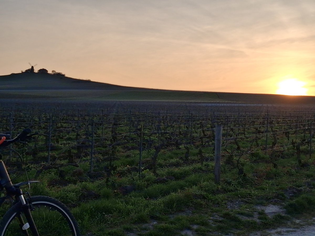 Cycling Trucker tweet media