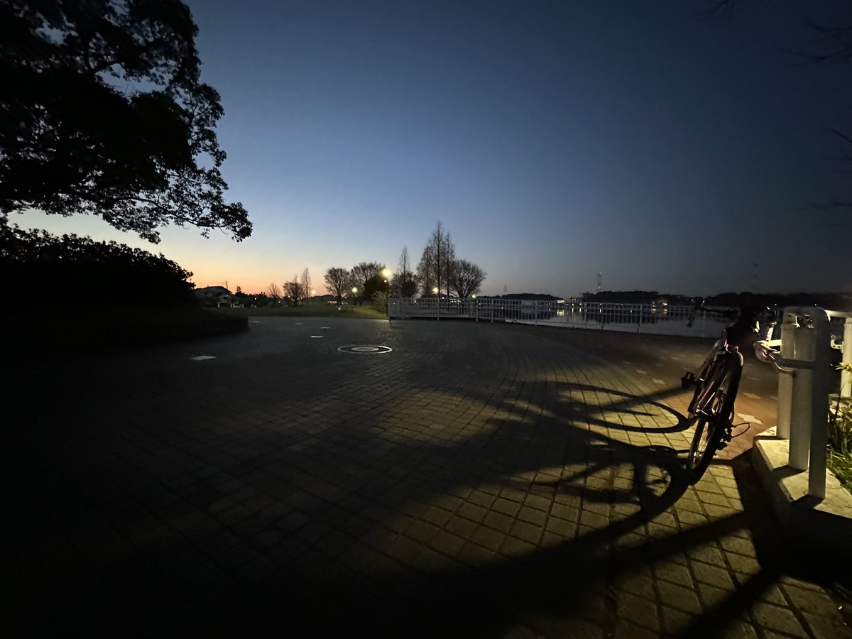 マチューッピ tweet media