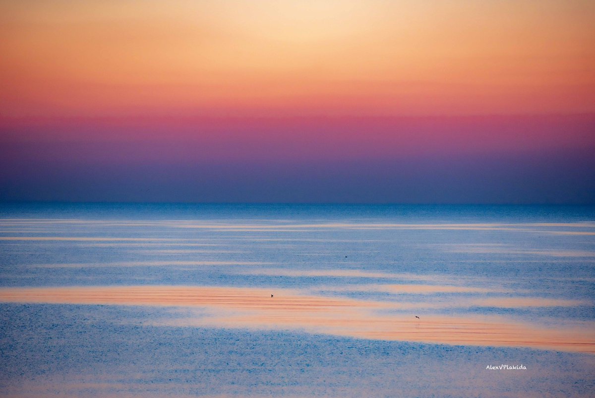 Alexander Plakida tweet media