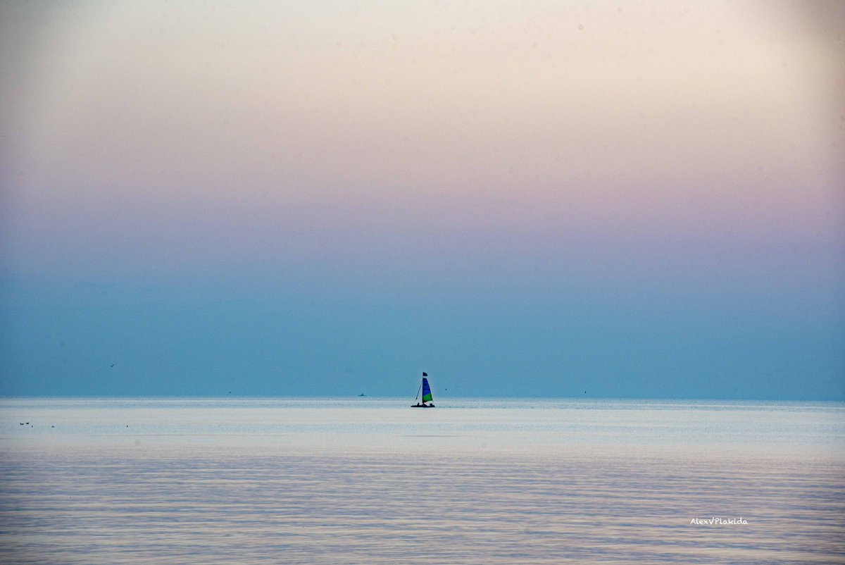 Alexander Plakida tweet media