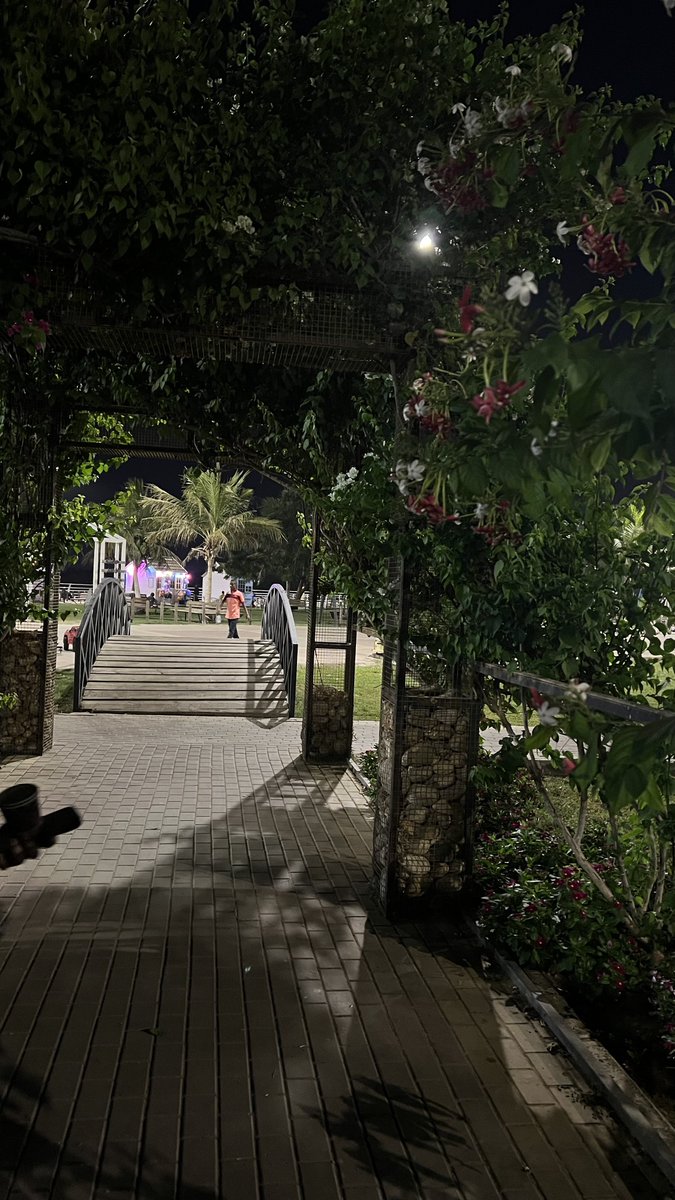 إنسانة جداً🤍🇸🇦 tweet media