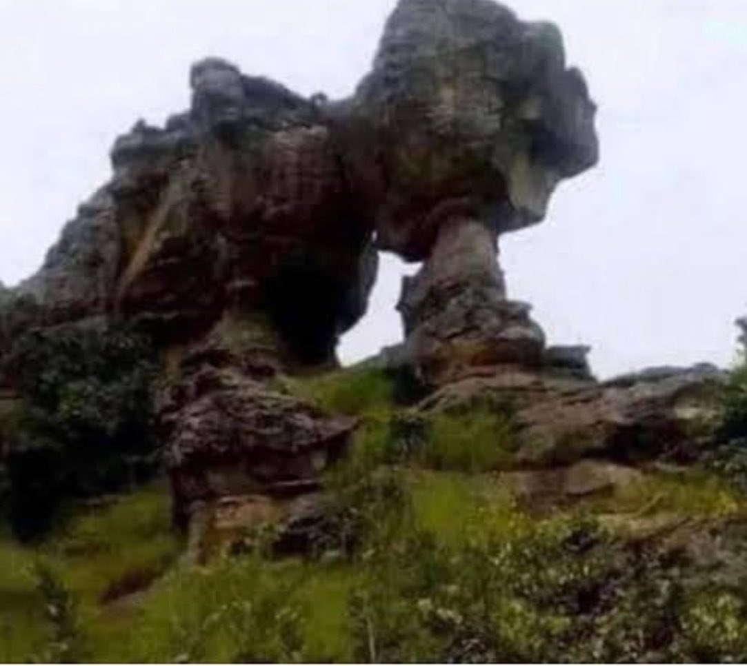 Öpe-yemi tweet media