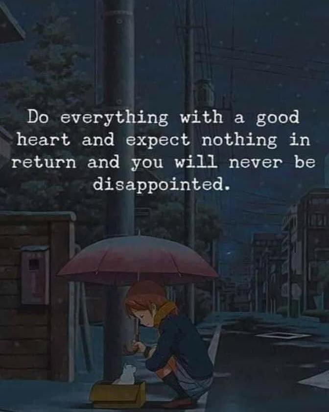 Janice🐬🌊 Justice4Renee+Alex tweet media