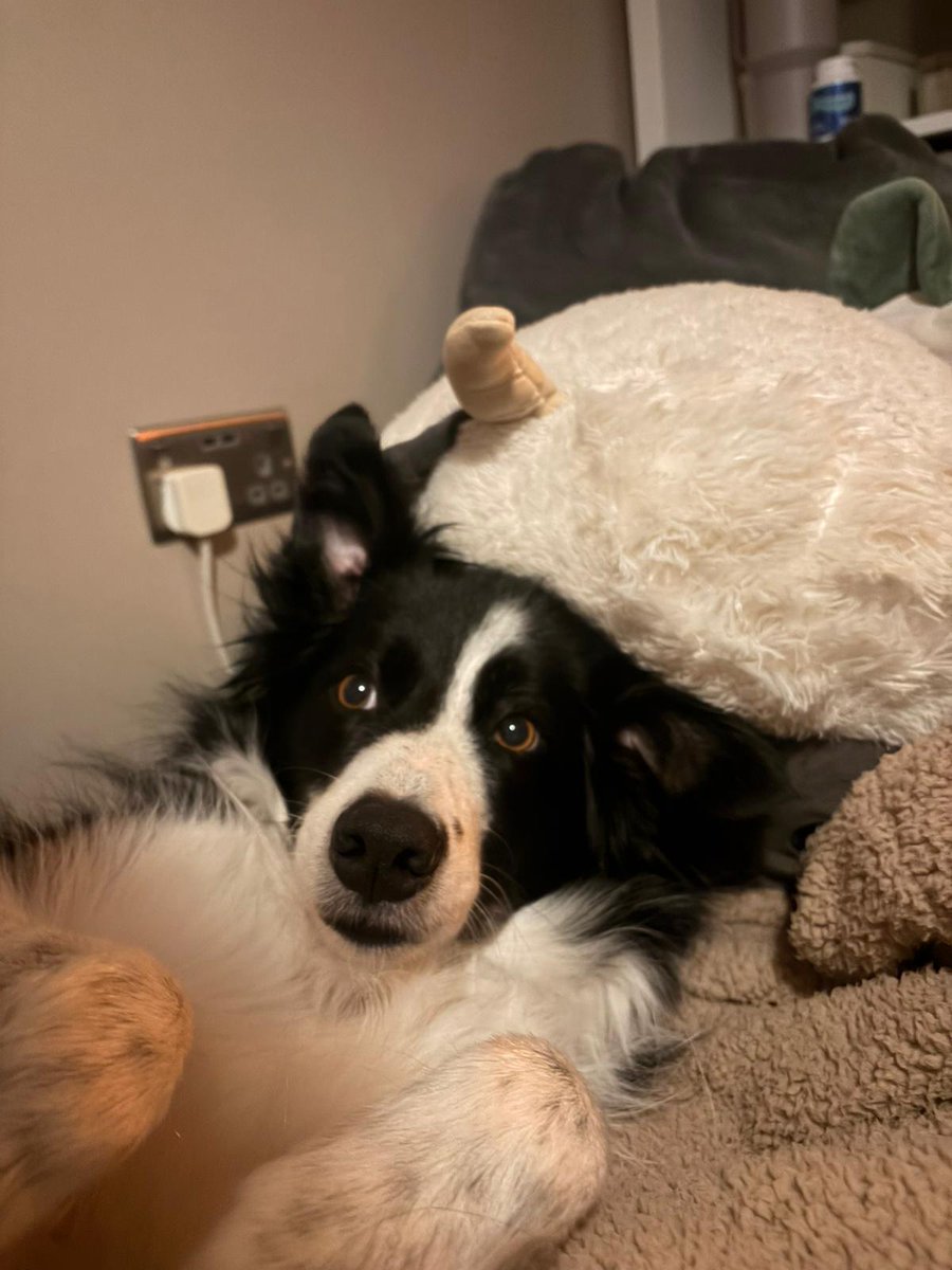 Leonardo tweet media