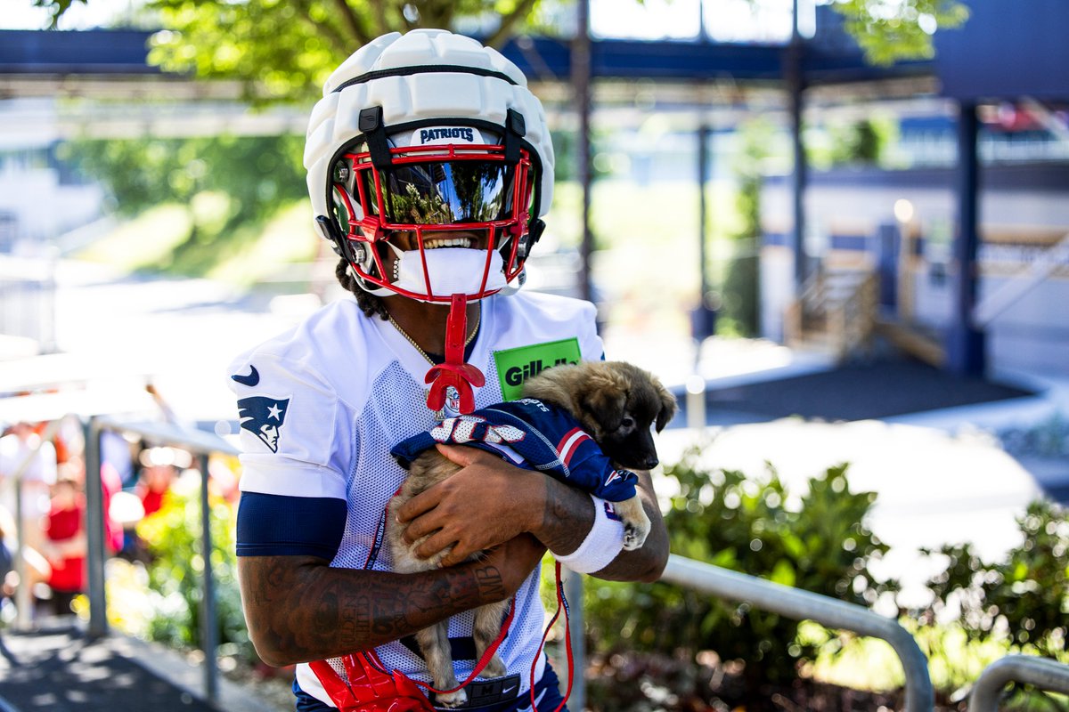 New England Patriots tweet media